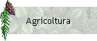 Agricoltura