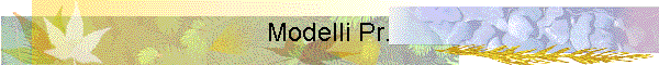 Modelli Pr.