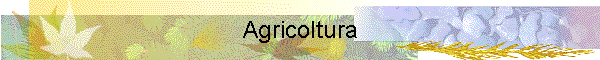 Agricoltura
