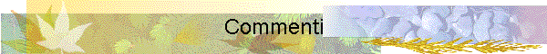 Commenti