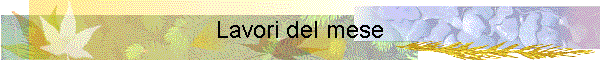 Lavori del mese