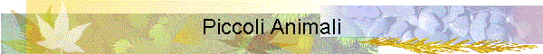 Piccoli Animali