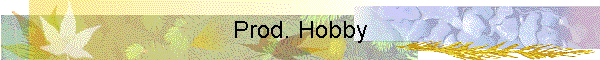 Prod. Hobby