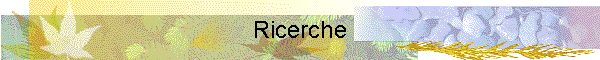 Ricerche